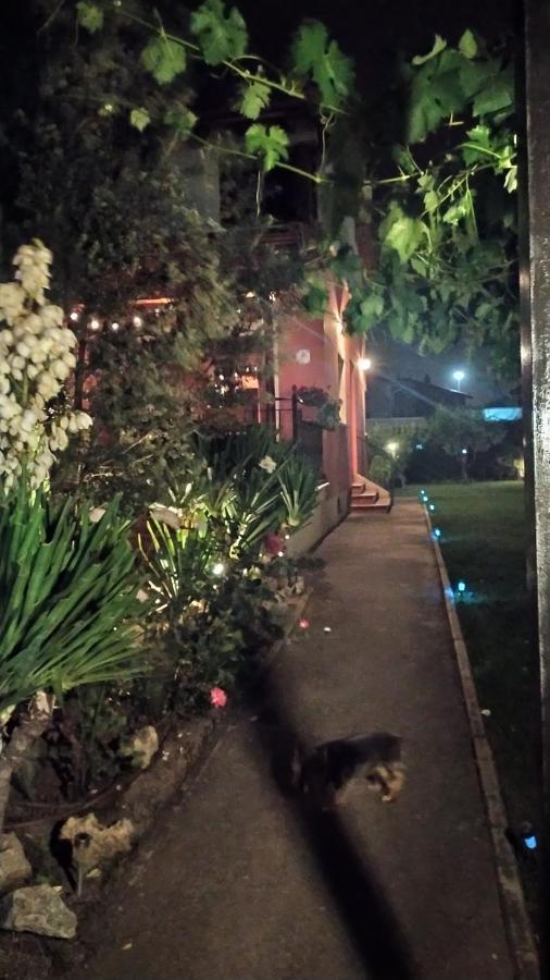 Burgo Cuarenta Y Ocho Luces 게스트하우스 외부 사진